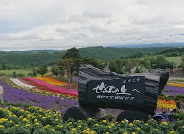 japan/hokkaido/attraction/zerubu-hill