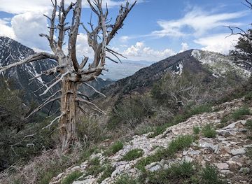 utah/uinta-wasatch-cache-national-forest/attraction/lion-s-head