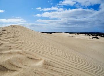 australia/kangaroo-island/attraction/little-sahara-adventure-centre