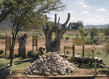 south-africa/cape-winelands/attraction/eseltjiesrus-donkey-sanctuary