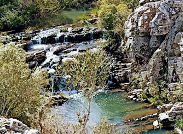 uruguay/quebrada-de-los-cuervos/attraction/puente-de-madera-sobre-el-yerbal