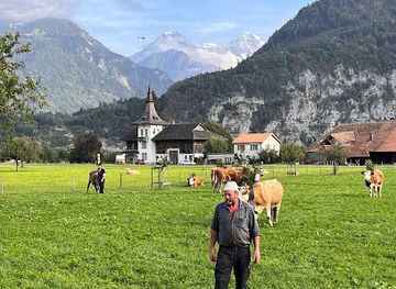 switzerland/bernese-oberland/attraction/mittlere-strasse