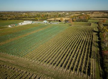 canada/okanagan/attraction/rosehall-run-vineyards
