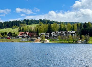 czechia/lipno-dam/attraction/frymbursky-trun