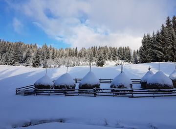 romania/apuseni-mountains/attraction/moara-de-pe-paraul-alb