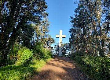california/muir-woods-national-monument/attraction/mt-davidson