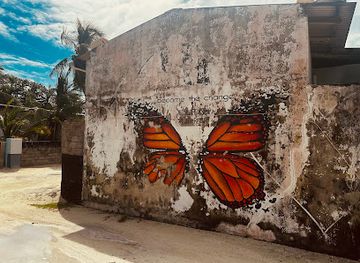 maldives/kaafu-atoll/attraction/the-monarch-butterfly