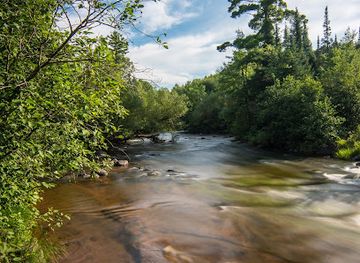wisconsin/northwoods/attraction/brule-river-state-forest
