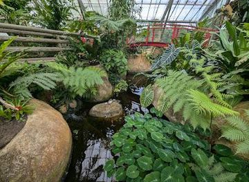 australia/cairns/attraction/butterfly-sanctuary