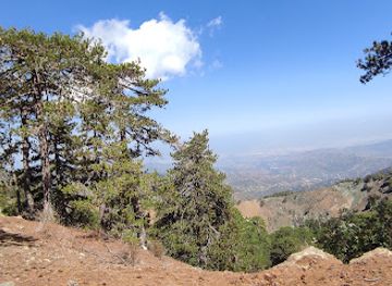 cyprus/troodos/attraction/livadi-path-no-3-support-for-disabled-people