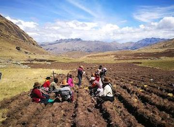 peru/cusco/attraction/potato-park-parque-de-la-papa