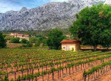 france/marseille/attraction/provence-amazing-tours