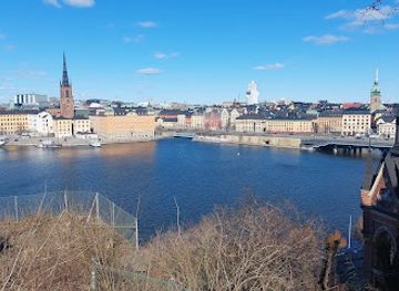 sweden/narke/attraction/the-millennium-tour