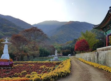south-korea/jirisan-national-park/attraction/gurye-yeongoksa-dong-seungtap