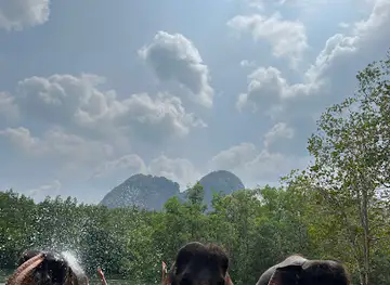 Krabi Elephant Shelter