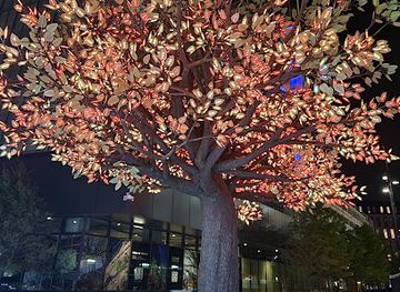 texas/dallas/attraction/tree-of-tenere