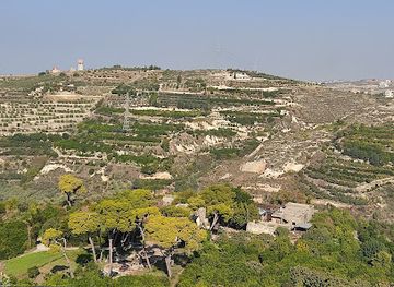 lebanon/sidon/attraction/mazraat-tanboorit-alshahabiyah