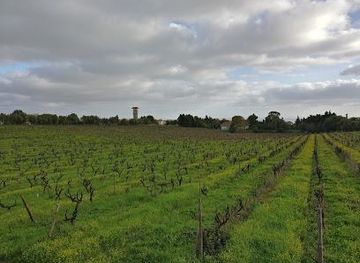 portugal/estremadura/attraction/estacao-agronomica