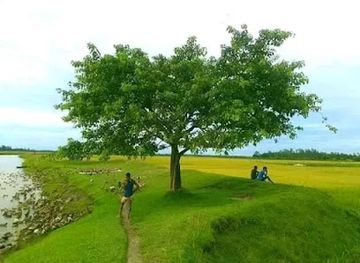 bangladesh/eastern-bengal/attraction/padma-multipurpose-bridge