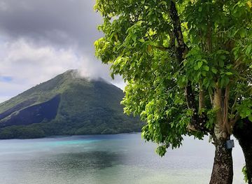 indonesia/banda-islands/attraction/pohon-sejuta-umat-pohon-talang