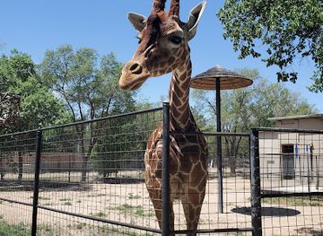 kansas/garden-city/attraction/lee-richardson-zoo