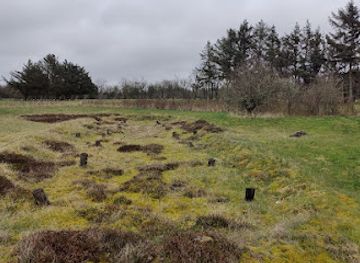denmark/esbjerg/attraction/iron-age-settlement