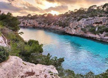 spain/palma-de-mallorca/attraction/torrent-de-cala-pi