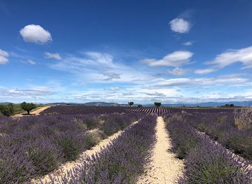 france/provence/attraction/musee-de-la-lavande