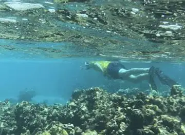 Cades Reef