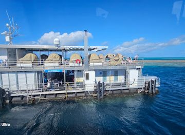 australia/great-barrier-reef/attraction/reef-world-cruise-whitsundays