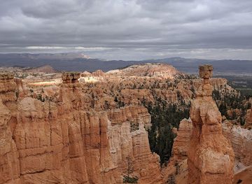 utah/zion-national-park/attraction/east-rim-trailhead