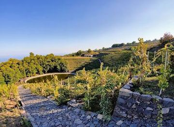 italy/catania/attraction/la-gelsomina