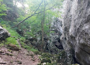 romania/caras-severin/attraction/cheile-peciniscai