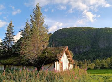 norway/hemsedal/attraction/old-house-with-trees-on-roof