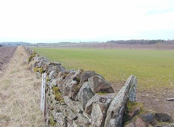 united-kingdom/dundee/attraction/muirhead-backmuir-community-wood