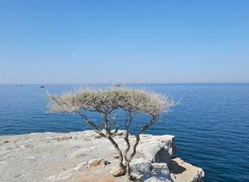 oman/musandam-peninsula/attraction/sea-and-beach-view-point
