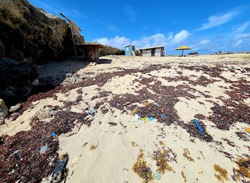 aruba/arikok-national-park/attraction/ranchero-curason