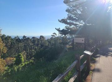 california/big-sur/attraction/shepherd-s-knoll