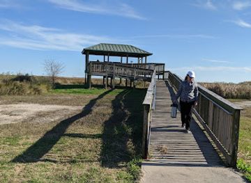louisiana/sabine-national-wildlife-refuge/attraction/blue-goose-trail