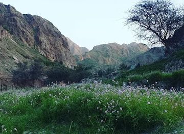 united-arab-emirates/hajar-mountains/attraction/wadi-tayyibah