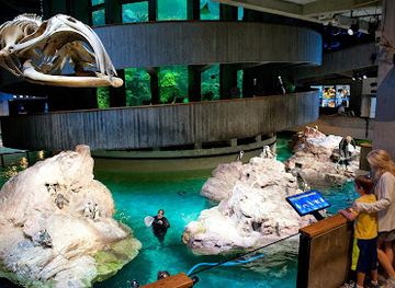 New England Aquarium