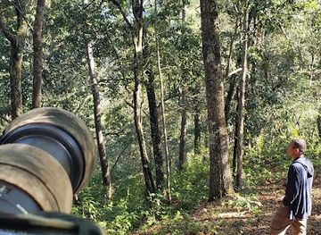 belize/mountain-pine-ridge-forest-reserve/attraction/vaca-forest-reserve