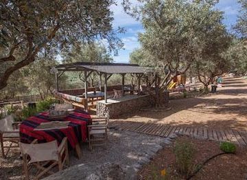 greece/lamia/attraction/moka-olive-stories-tour