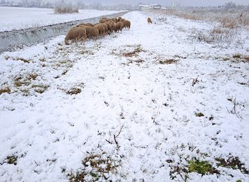 serbia/palic-lake/attraction/salty-lake