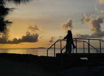 maldives/dhaalu-atoll/attraction/fithuroanu-trees-area