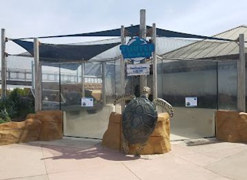 california/chula-vista/attraction/living-coast-discovery-center