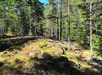 finland/espoo/attraction/henttaanmetsa-forest