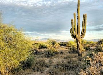 arizona/chandler/attraction/mcdowell-mountain-regional-park