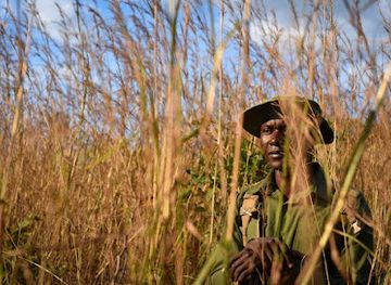 tanzania/morogoro/attraction/untamed-tanzania