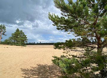 estonia/kärdla/attraction/kaibaldi-liivik